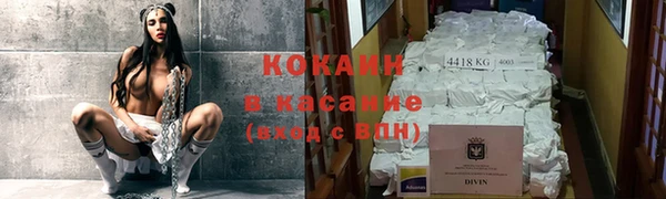 ECSTASY Алзамай