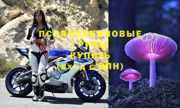 Альфа ПВП Алексеевка
