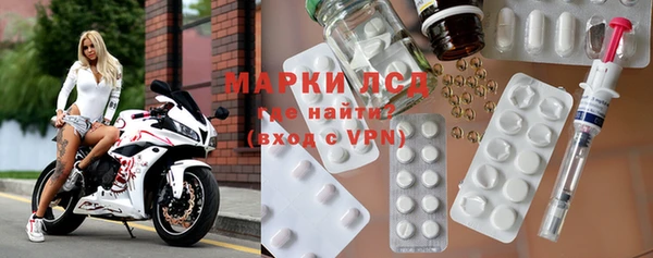 ECSTASY Алзамай