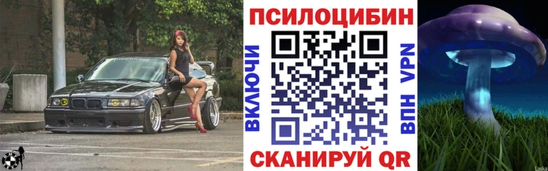 Псилоцибиновые грибы MAGIC MUSHROOMS  даркнет телеграм  Бердск  наркотики 